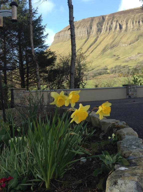 Benbulben Farmhouse B&B Drumcliff エクステリア 写真